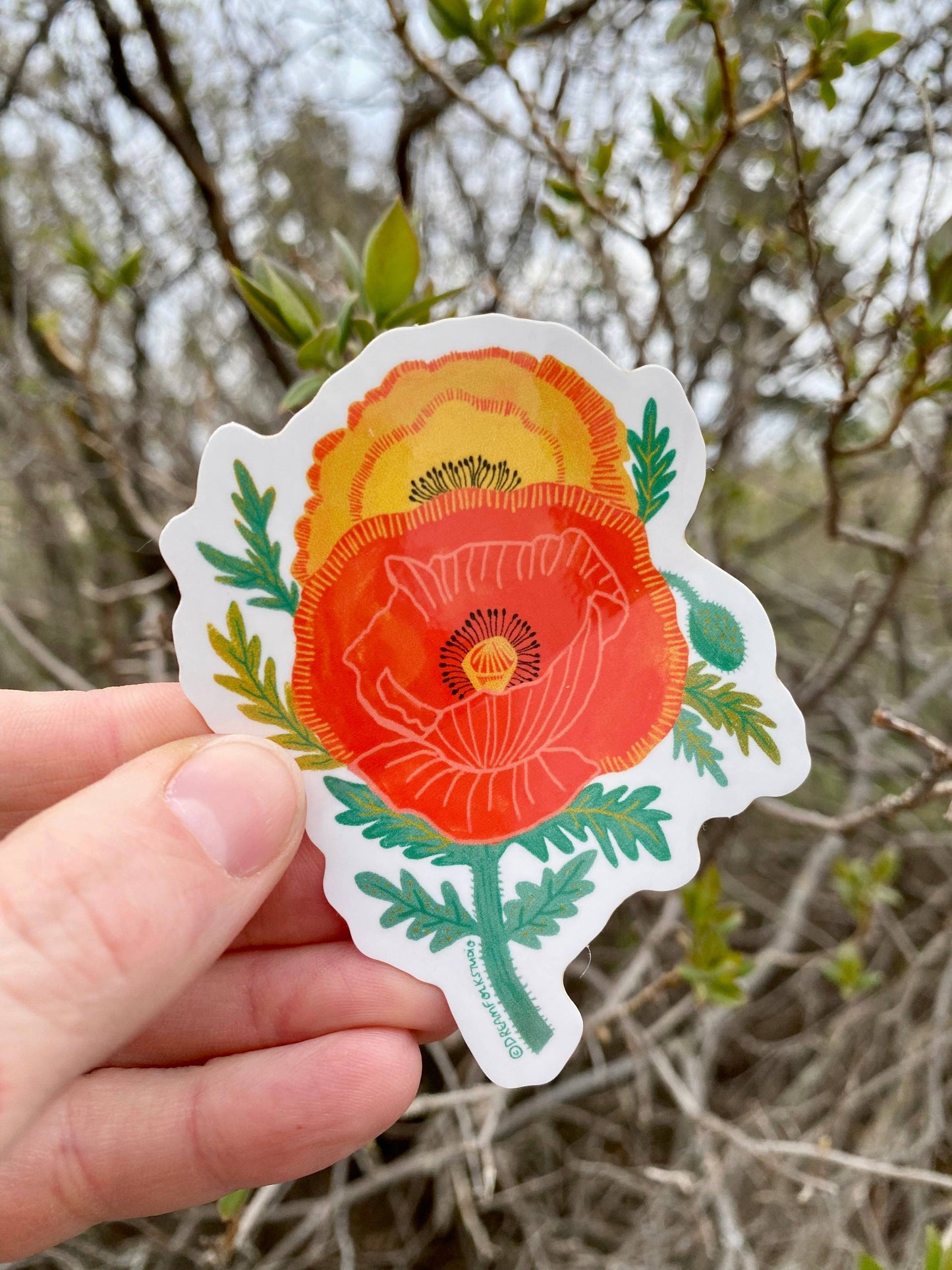Poppy Flower Sticker - California State Flower - Wildflowers