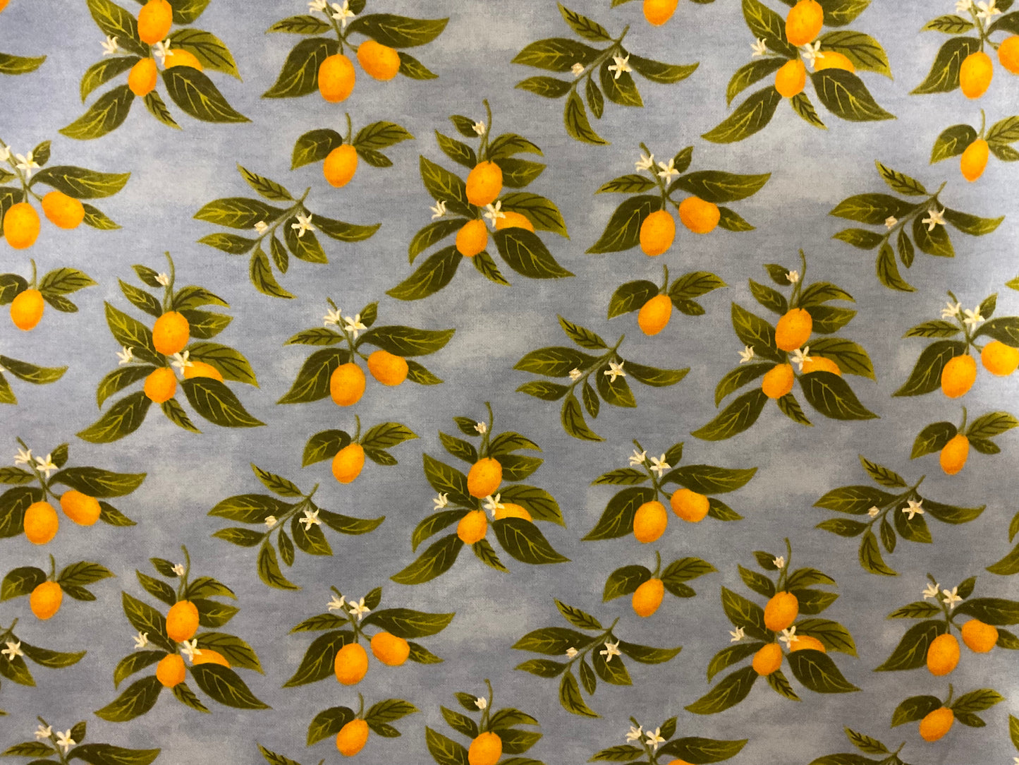 Reusable “Paper” Towel - Food Print - Set of 12