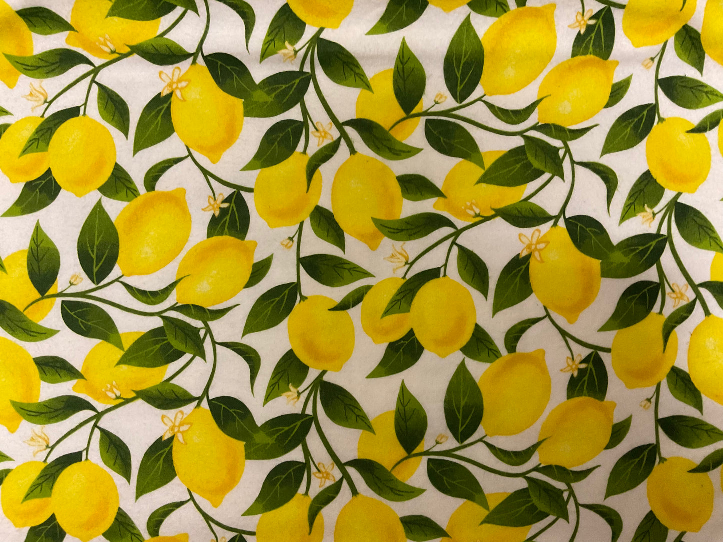 Reusable “Paper” Towel - Food Print - Set of 12