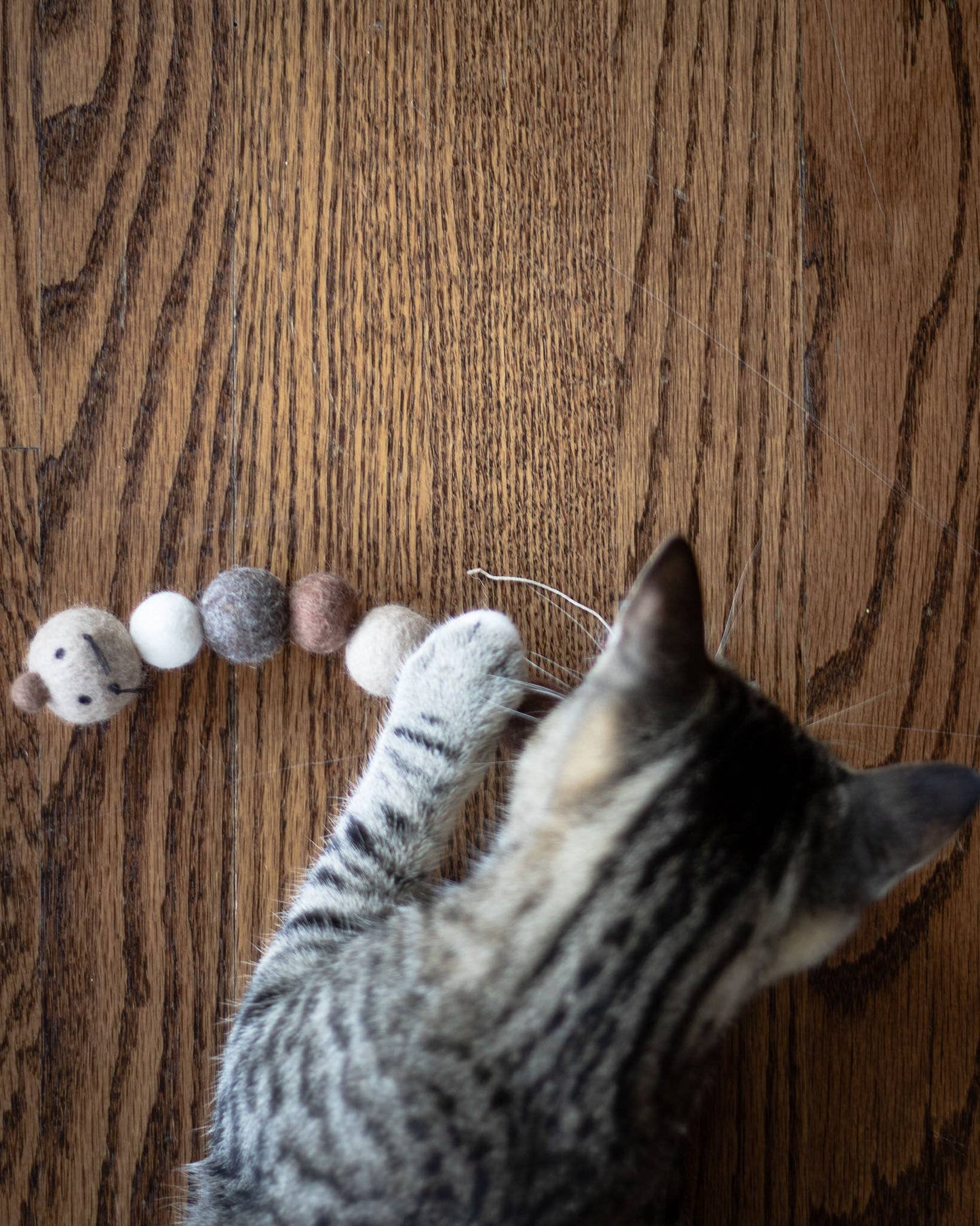 BROWNIE Kat the Caterpillar - Eco Toy
