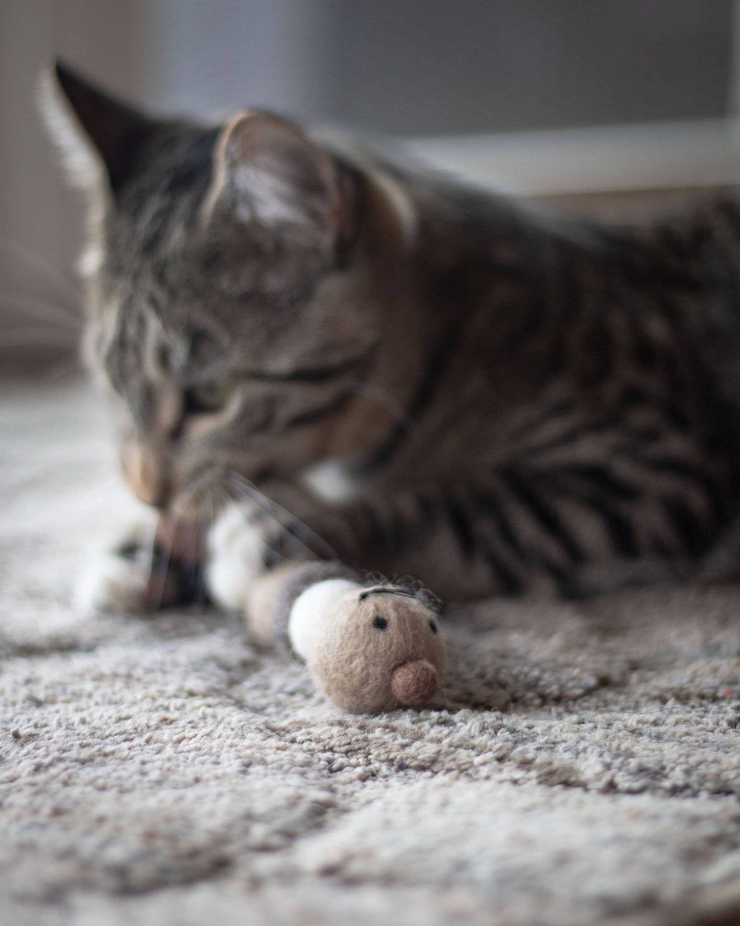 BROWNIE Kat the Caterpillar - Eco Toy