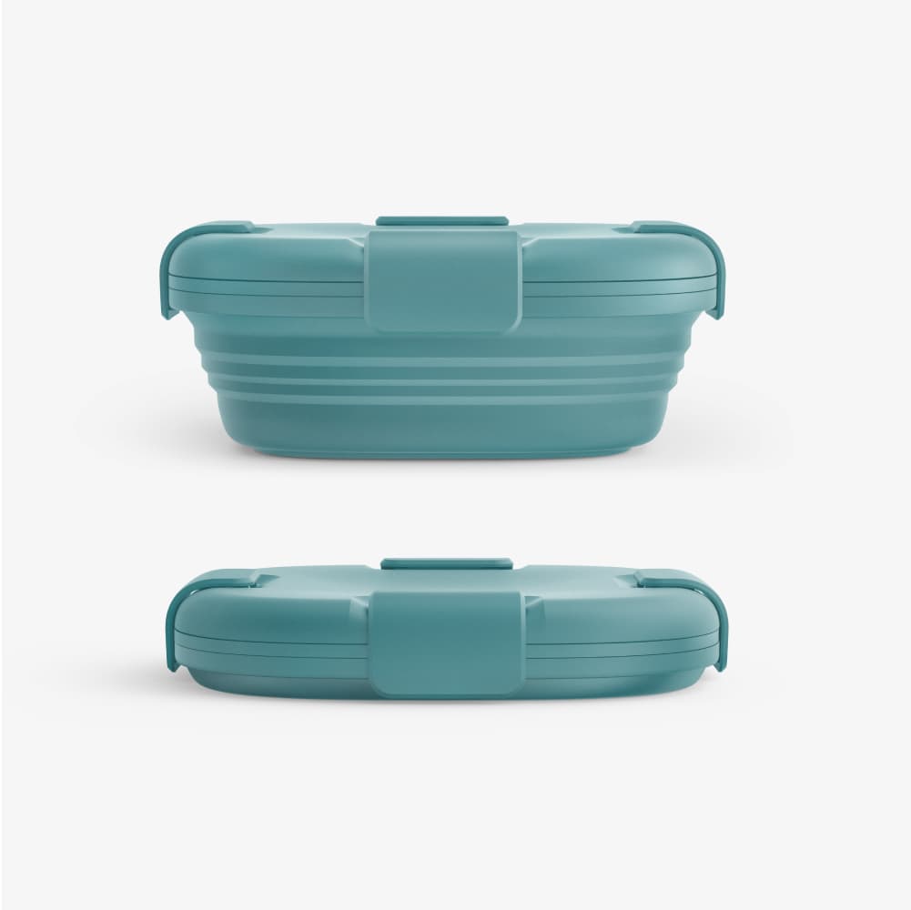The Container Store Collapsible Sandwich Box - Sage - 24 oz